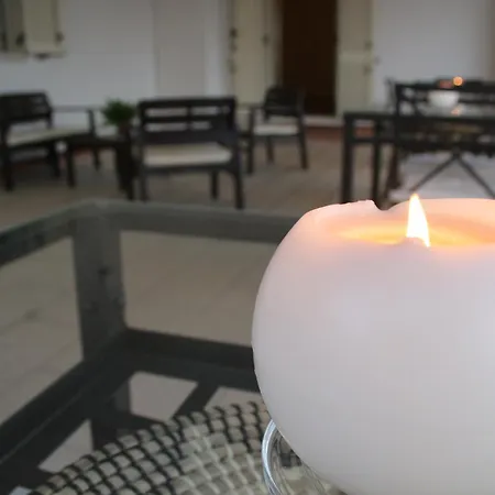 Bed & Breakfast Lasso