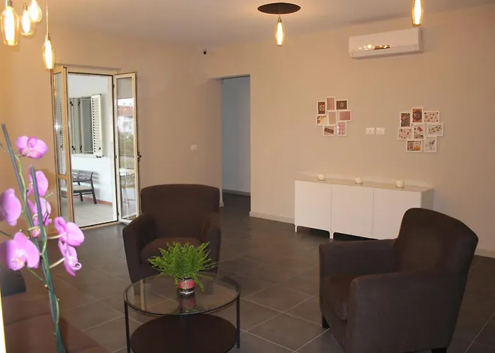 Bed & Breakfast Lasso