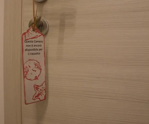 Lasso Bed & Breakfast